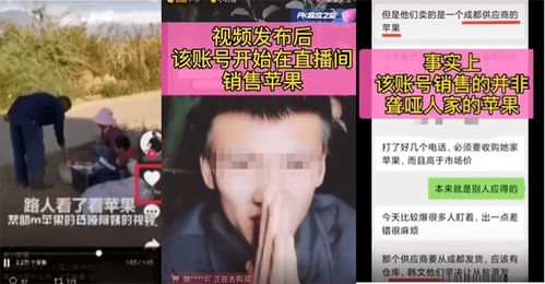 印度网红直播丑闻，直播猥亵土耳其导游引发全球关注