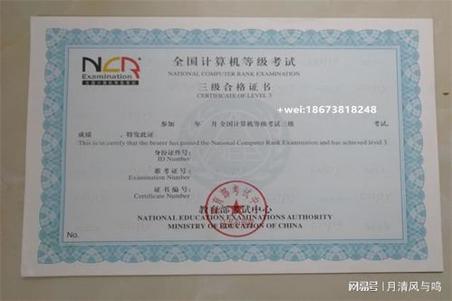 电子商务专业能考的证书