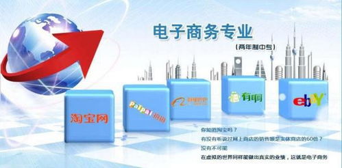 什么时候有电子商务专业